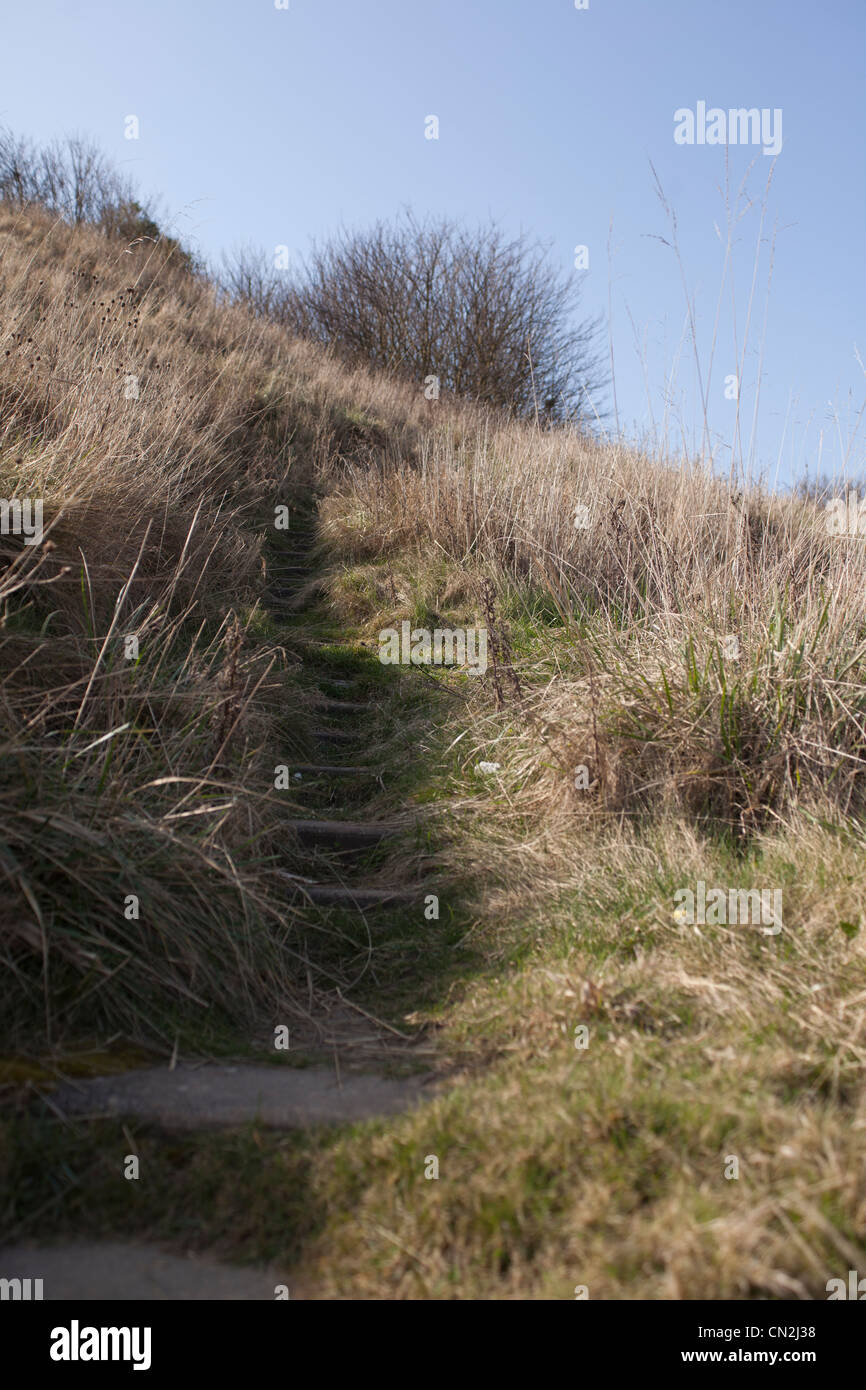 Sentier perdu sur Filey Brig Banque D'Images