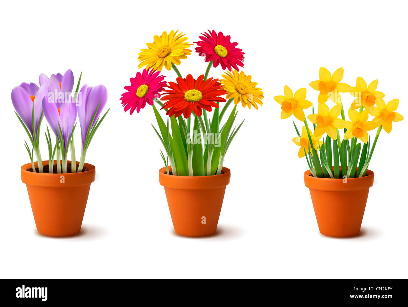Pots de fleurs colorées du printemps Banque D'Images