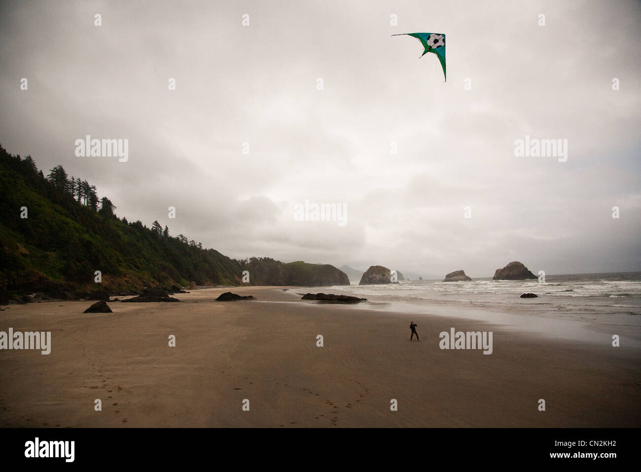 Jeune homme flying kite on beach Banque D'Images