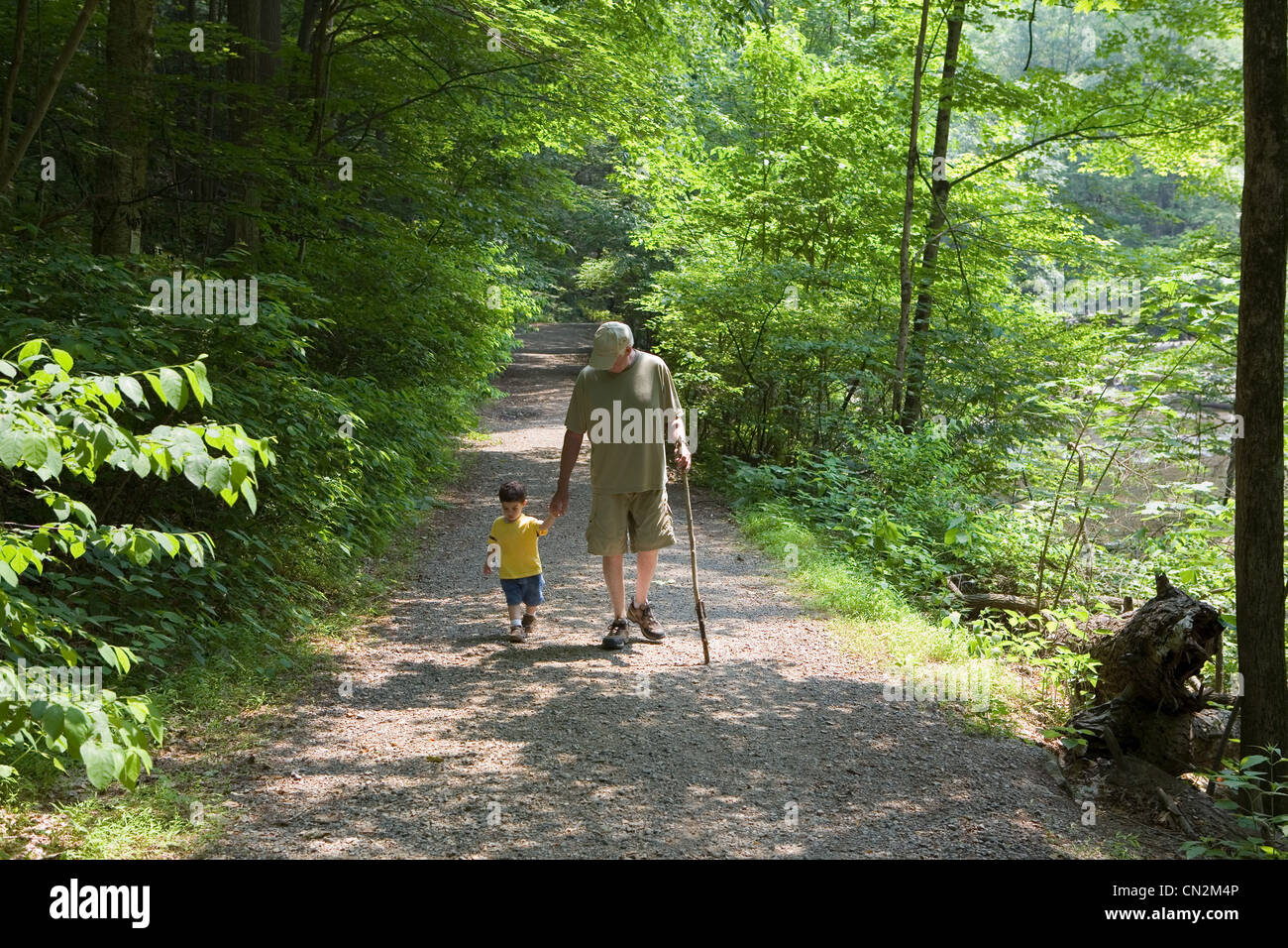 Grand-père et petit-fils marcher le long chemin forestier Banque D'Images