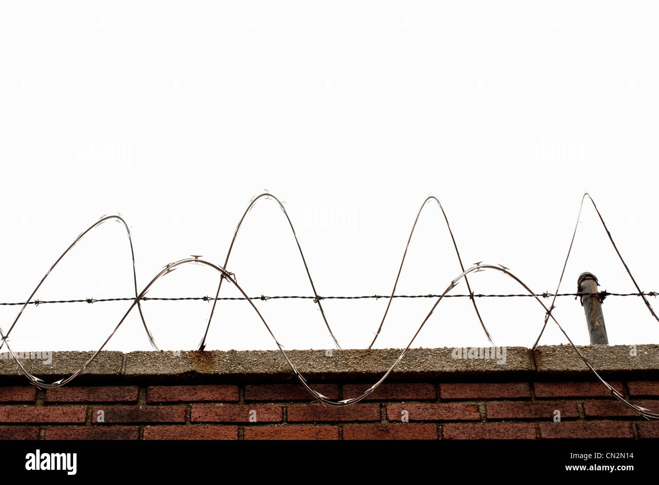 Sur le fil du rasoir sur le dessus du mur de briques Banque D'Images