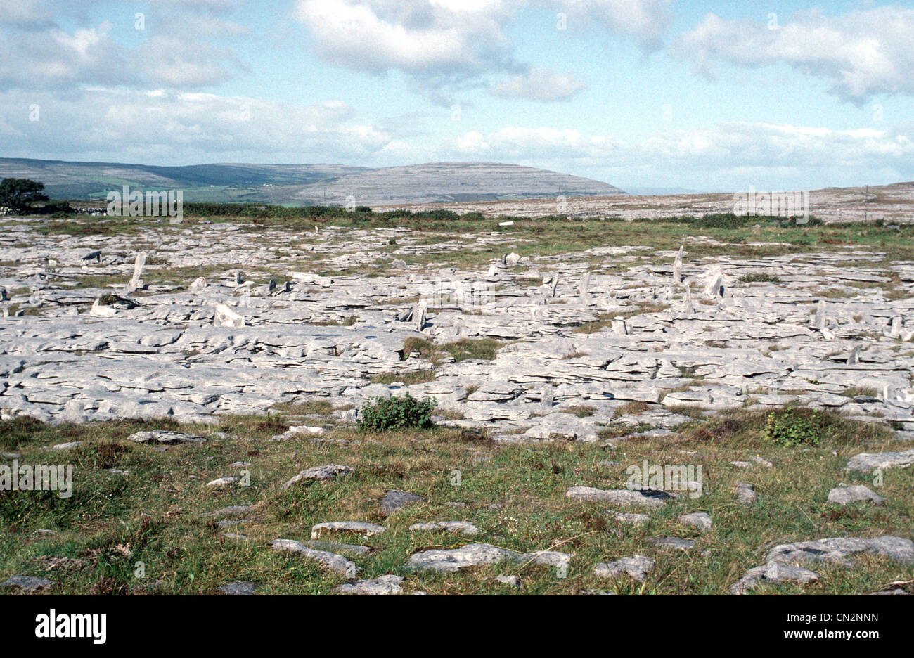 Le Burren - paysages karstiques Banque D'Images