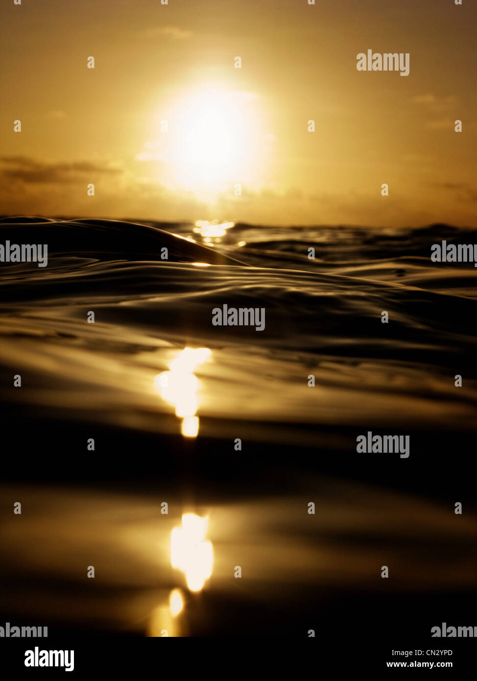 Coucher de soleil sur seascape Banque D'Images