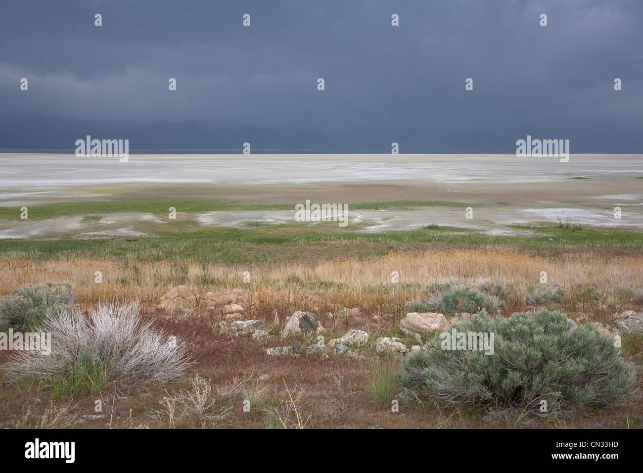 Grand Lac Salé, l'Antilope Island, Utah, USA Banque D'Images
