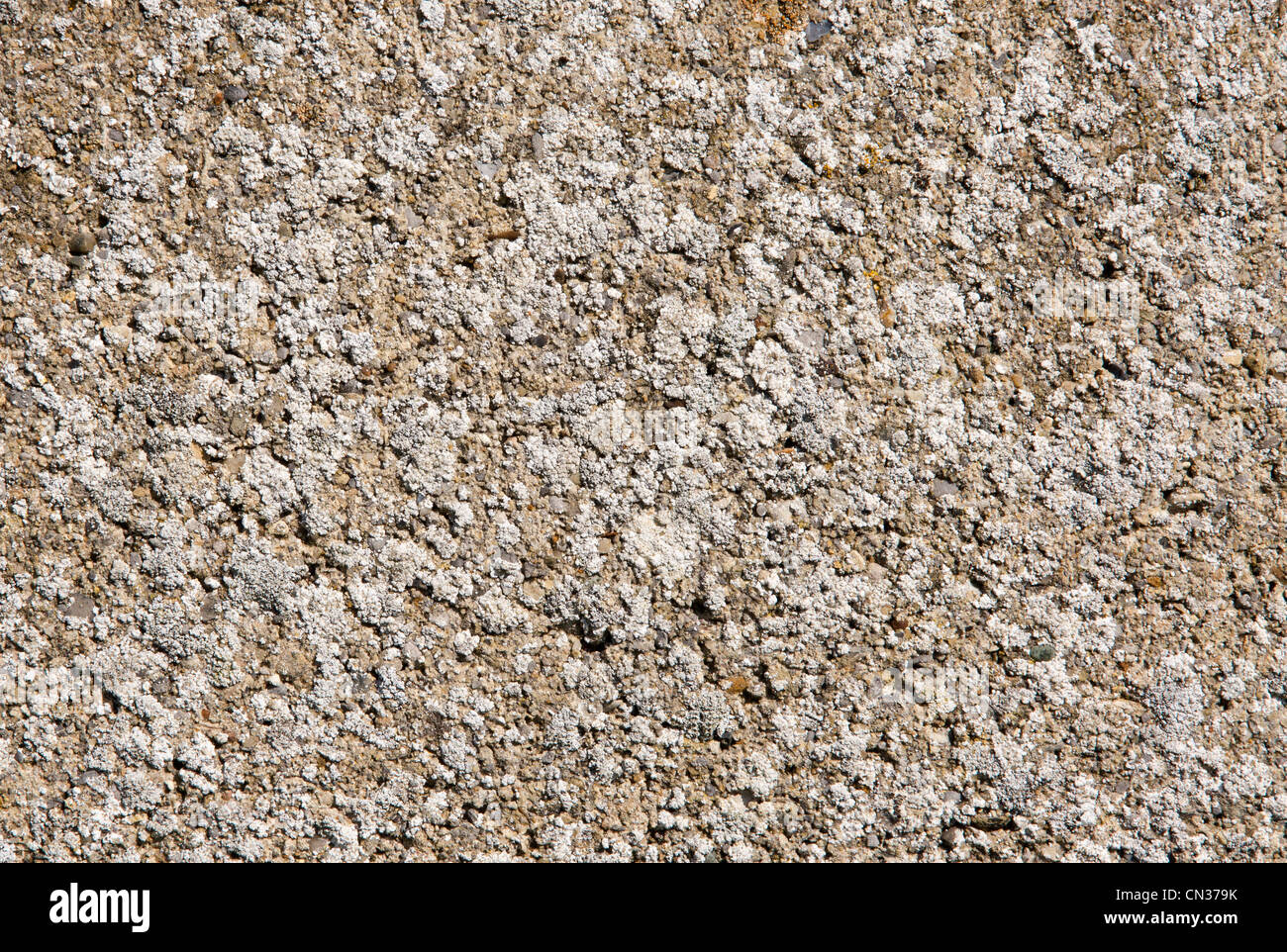 La texture de pierre sur l'édifice breeze altérés. Un certain lichen peut être vu sur la surface. Banque D'Images
