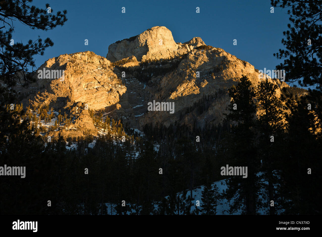 Mt Charleston, NV Banque D'Images