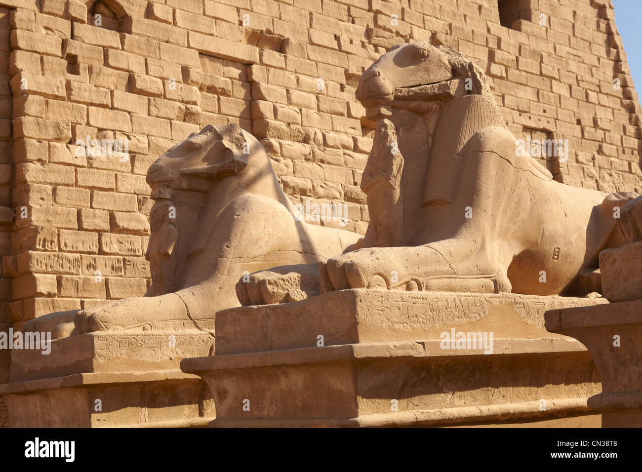 Egypte - Temple d'Amon-Rê de Karnak, Temple complexe, l'Avenue des béliers, Haute Egypte Banque D'Images