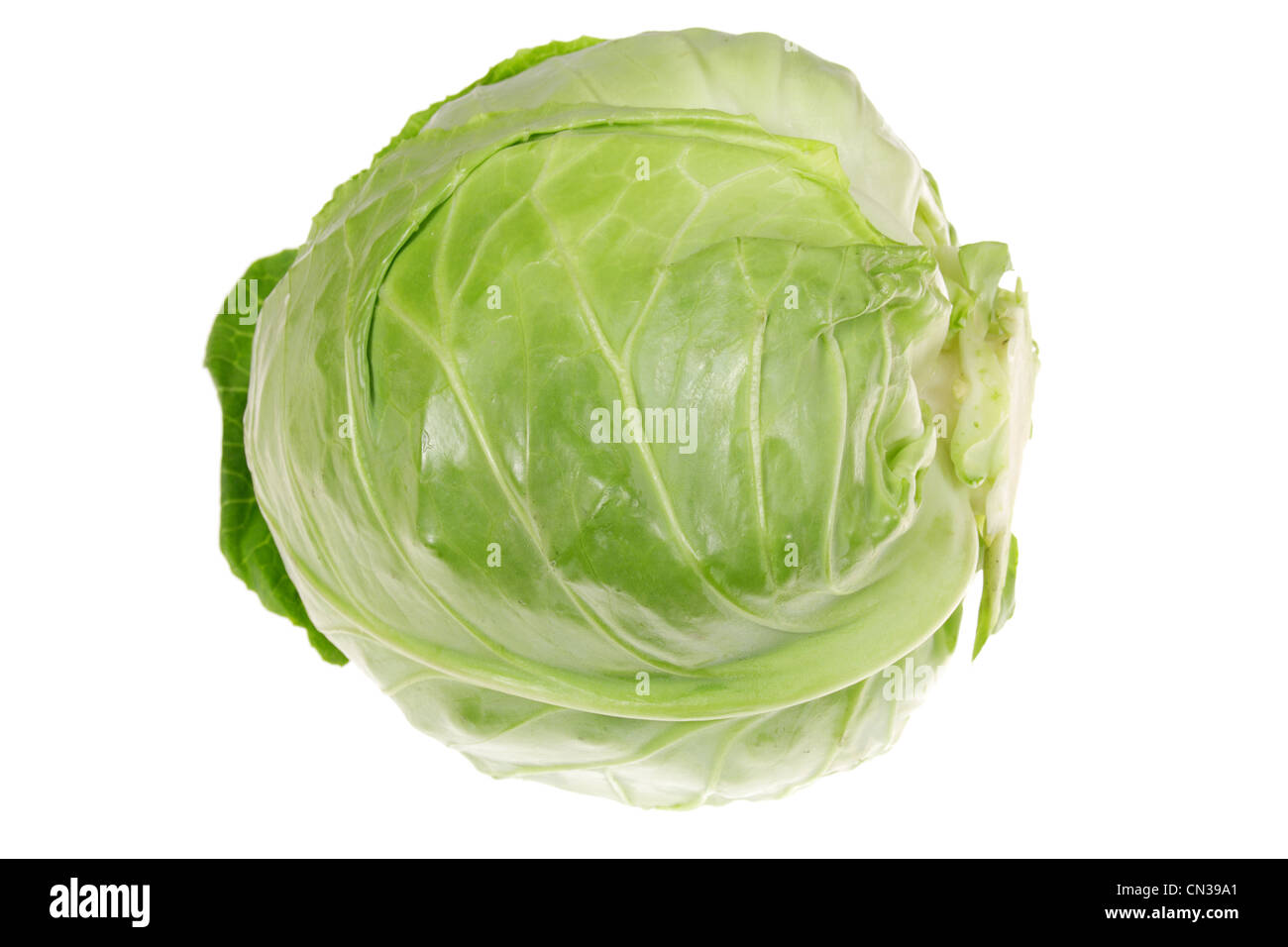 Chou vert isolé sur fond blanc Banque D'Images