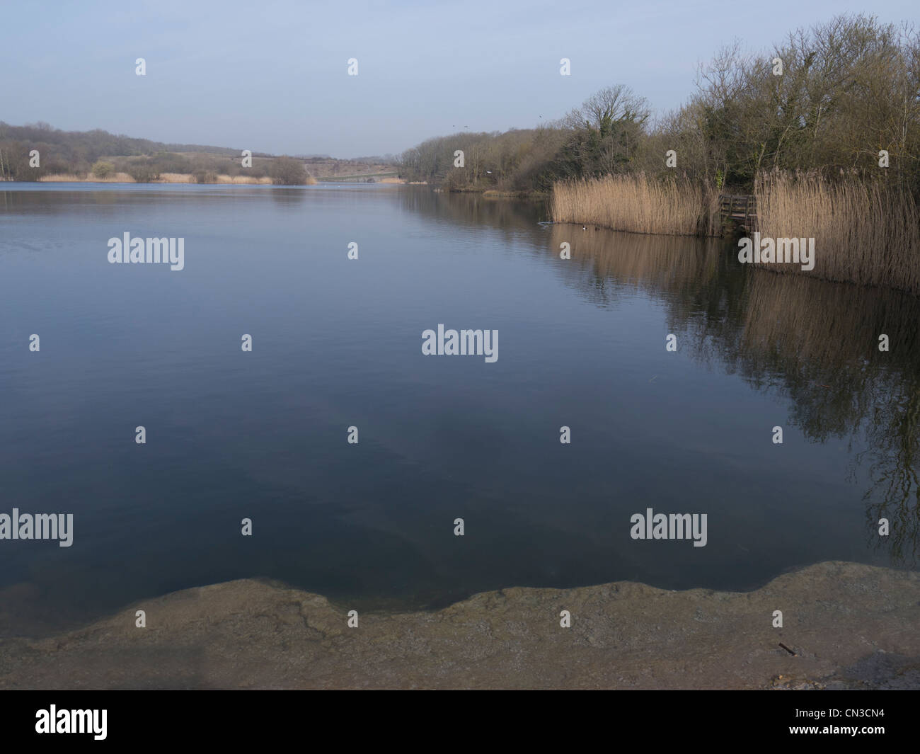 Cosmeston Lake Country Park, Glamorgan, Pays de Galles, Mars 2012 Banque D'Images