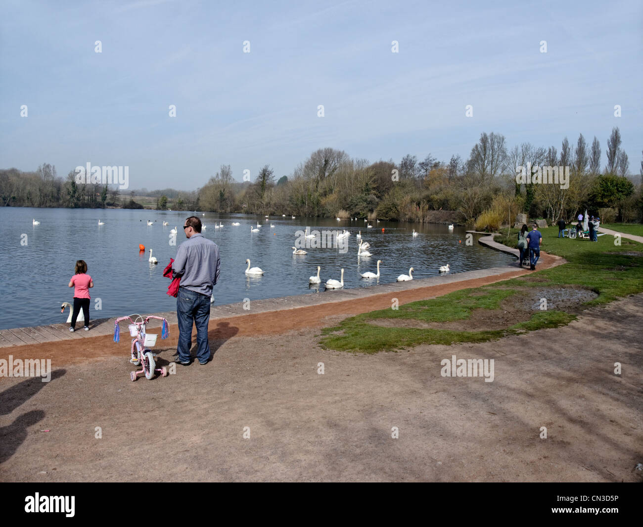 Cosmeston Lake Country Park, Glamorgan, Pays de Galles, Mars 2012 Banque D'Images