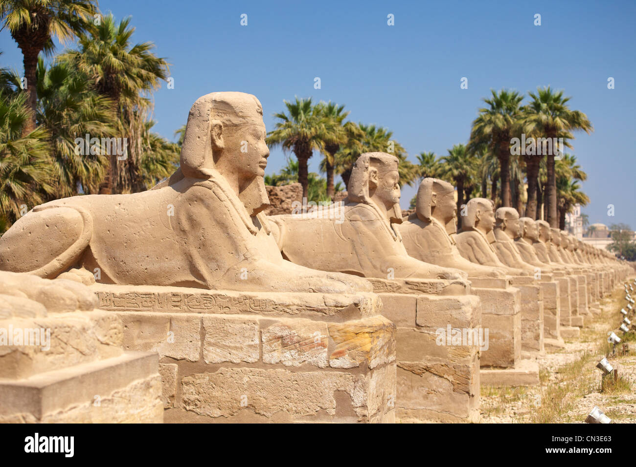 Avenue de Sphinx dans le temple de Louxor, Louxor, Egypte Banque D'Images