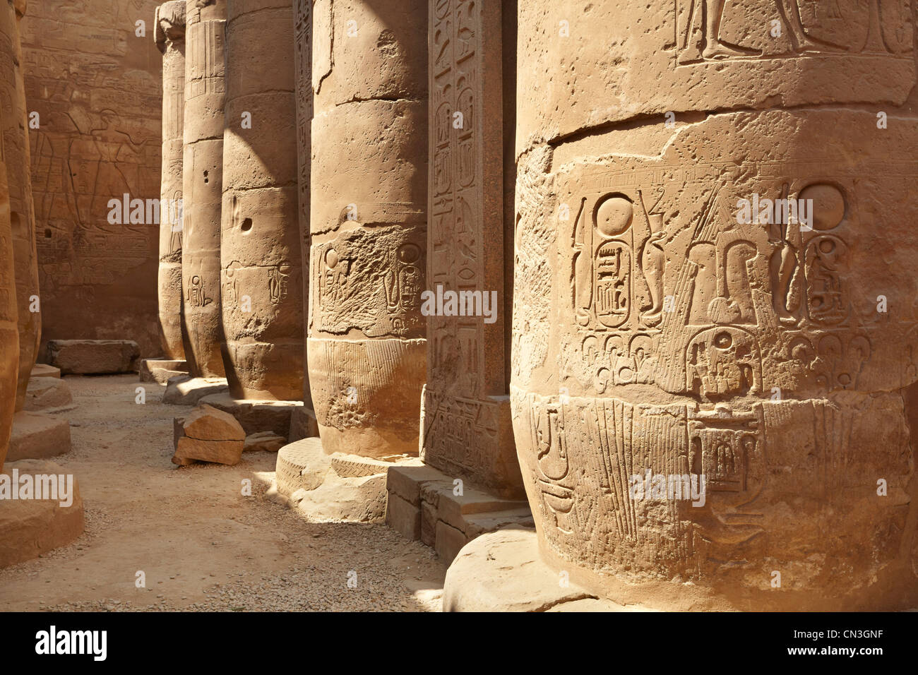 Colonne antique dans le temple de Louxor, Louxor, Egypte Banque D'Images