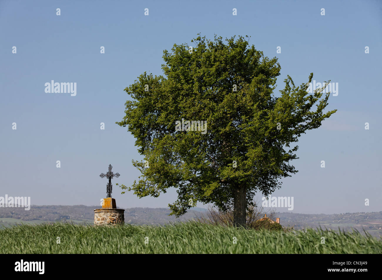 France, Puy de Dome, calvaire et arbre isolé, croix dans la Limagne du Lembron près de Issoire Banque D'Images