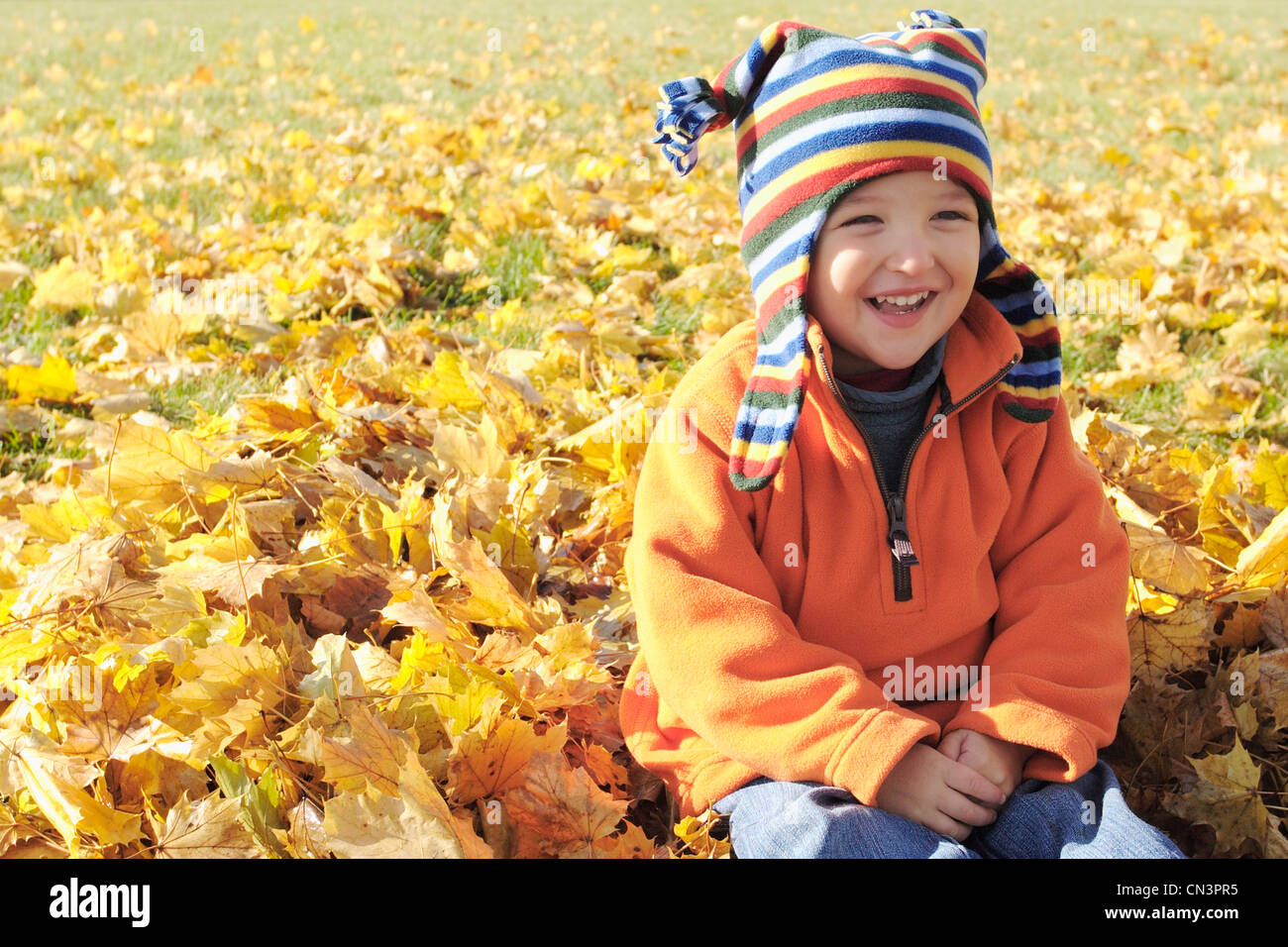 Jeune garçon assis dans les feuilles d'automne, Aurora (Ontario) Banque D'Images
