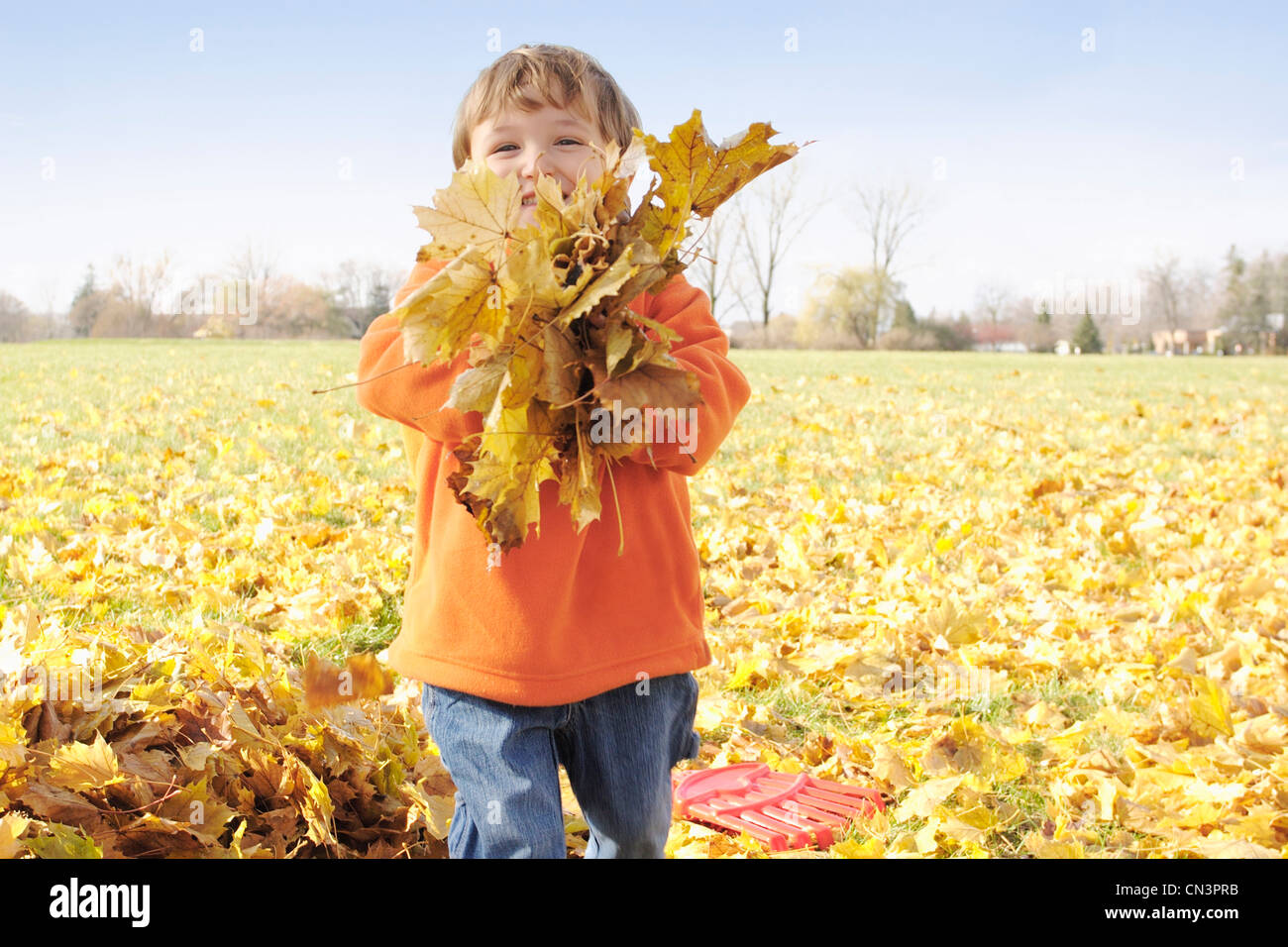 Jeune garçon jouant dans les feuilles d'automne, Aurora (Ontario) Banque D'Images
