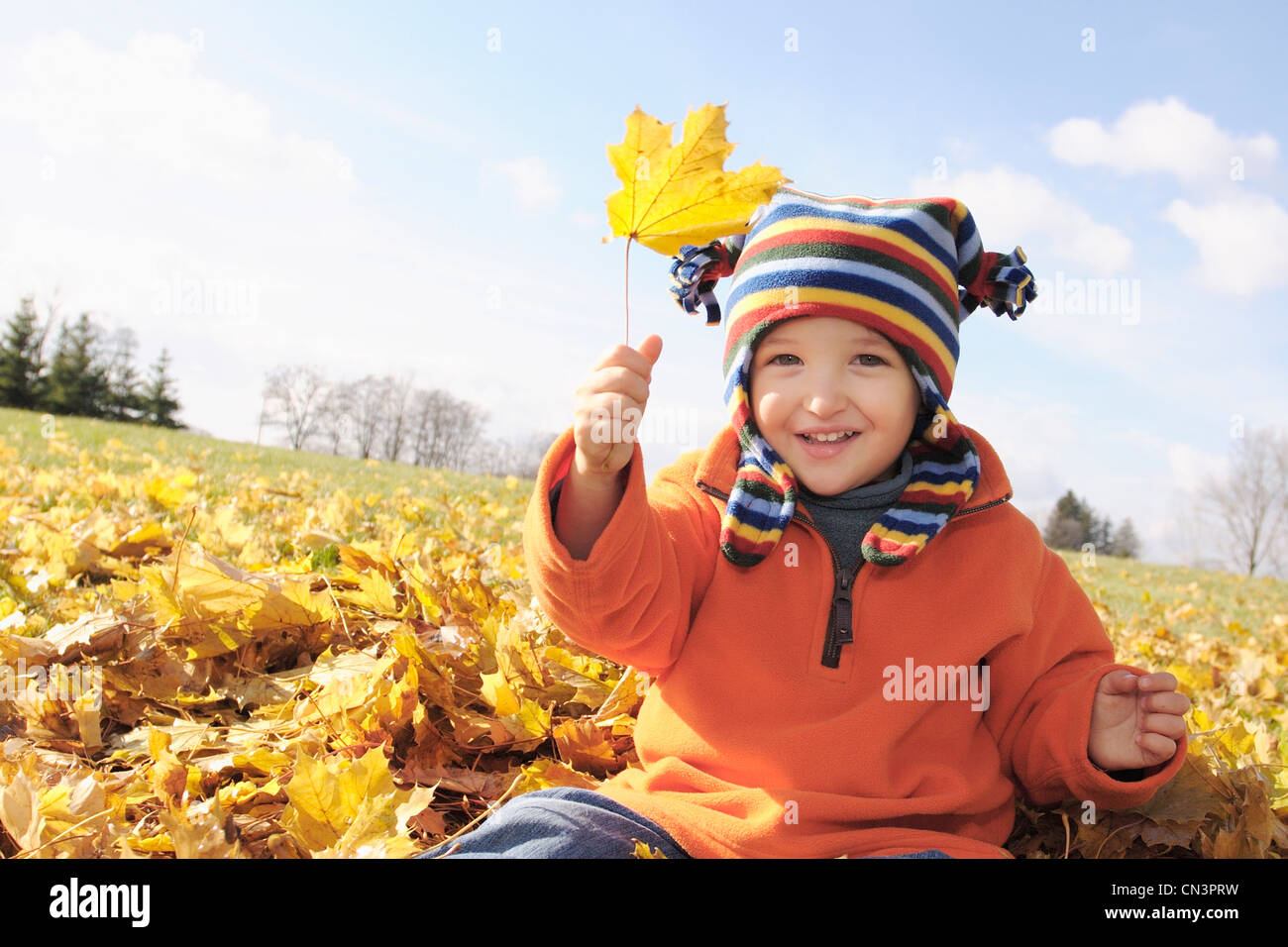 Jeune garçon jouant dans les feuilles d'automne Banque D'Images