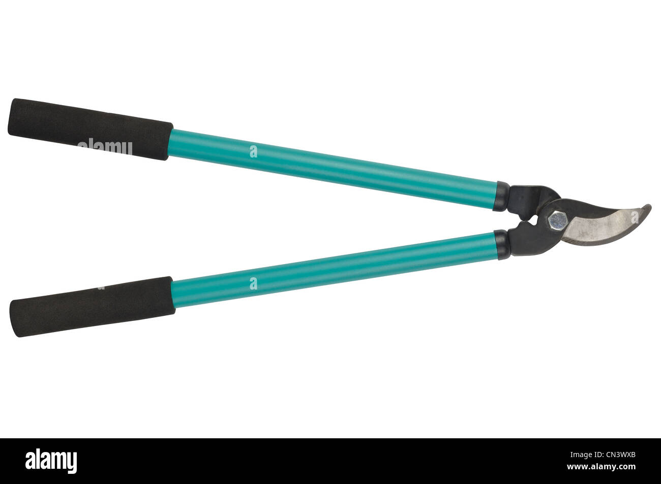 Élagueurs (ou d'un sécateur) isolé sur fond blanc Banque D'Images