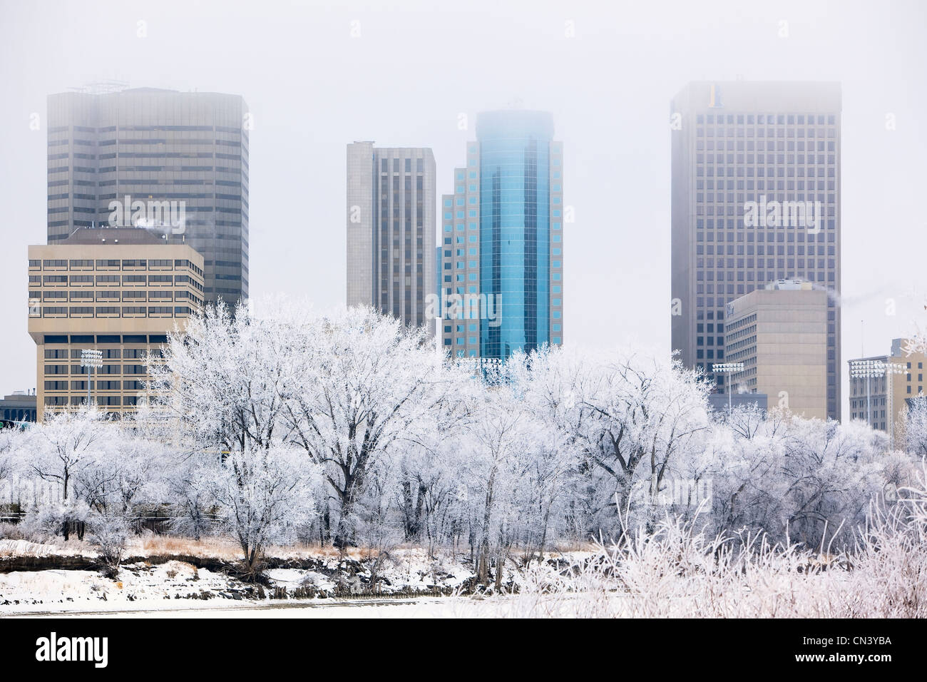 Le centre-ville et les arbres couverts de givre, Winnipeg, Manitoba Banque D'Images