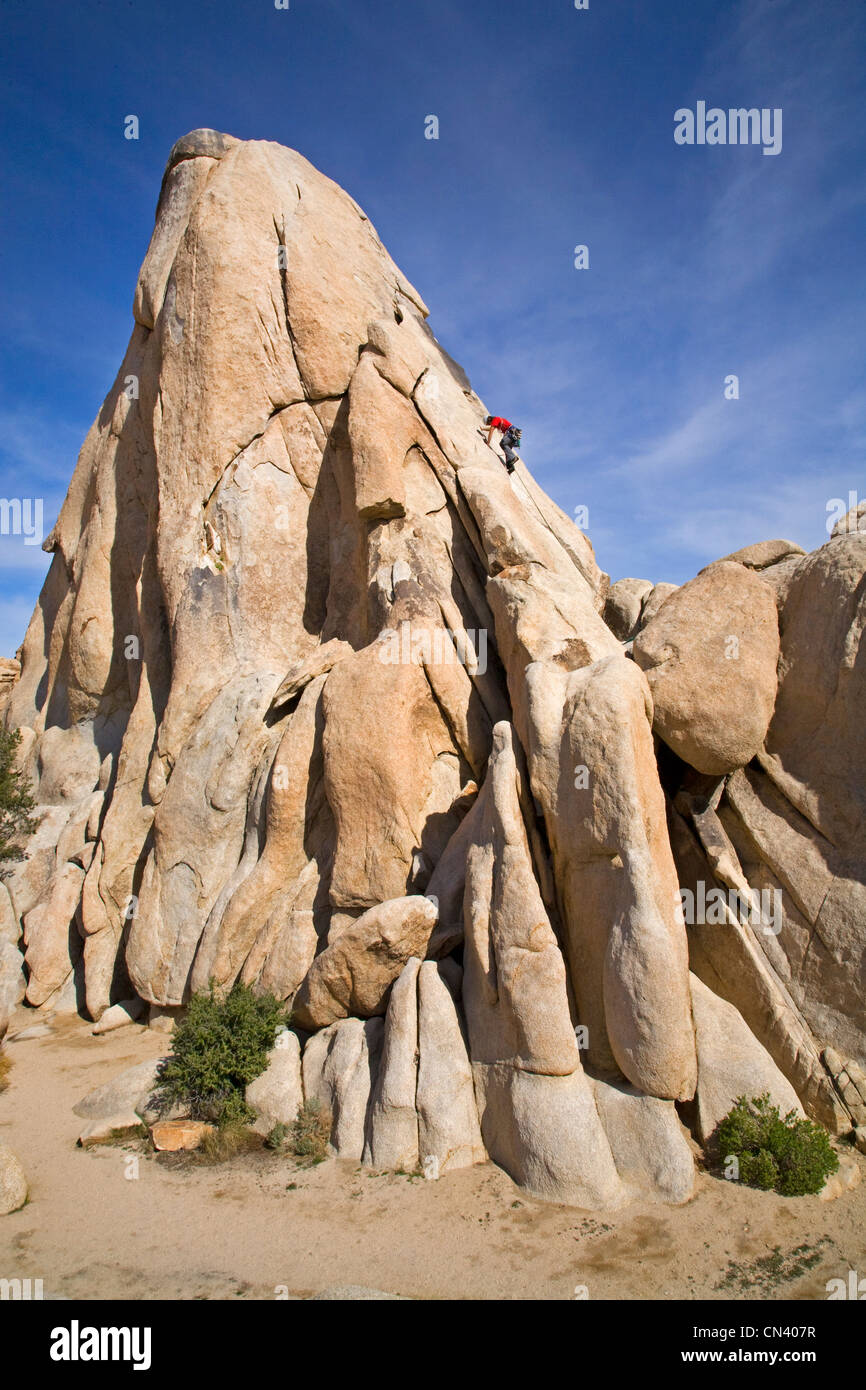 Un alpiniste et un paysage désertique dans Joshua Tree National Park, Californie Banque D'Images