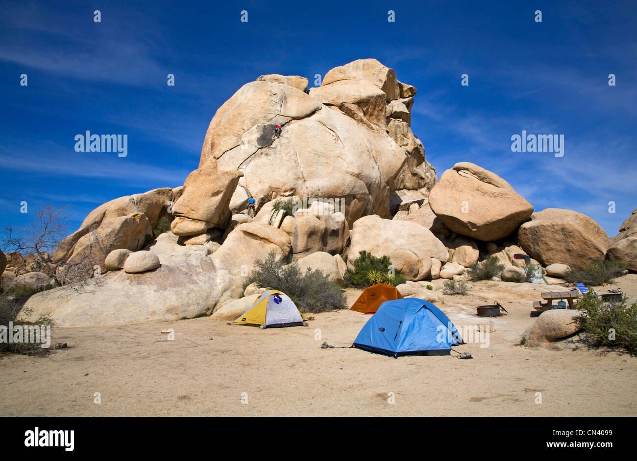 Camping et grimpeurs dans Joshua Tree National Park, Californie Banque D'Images