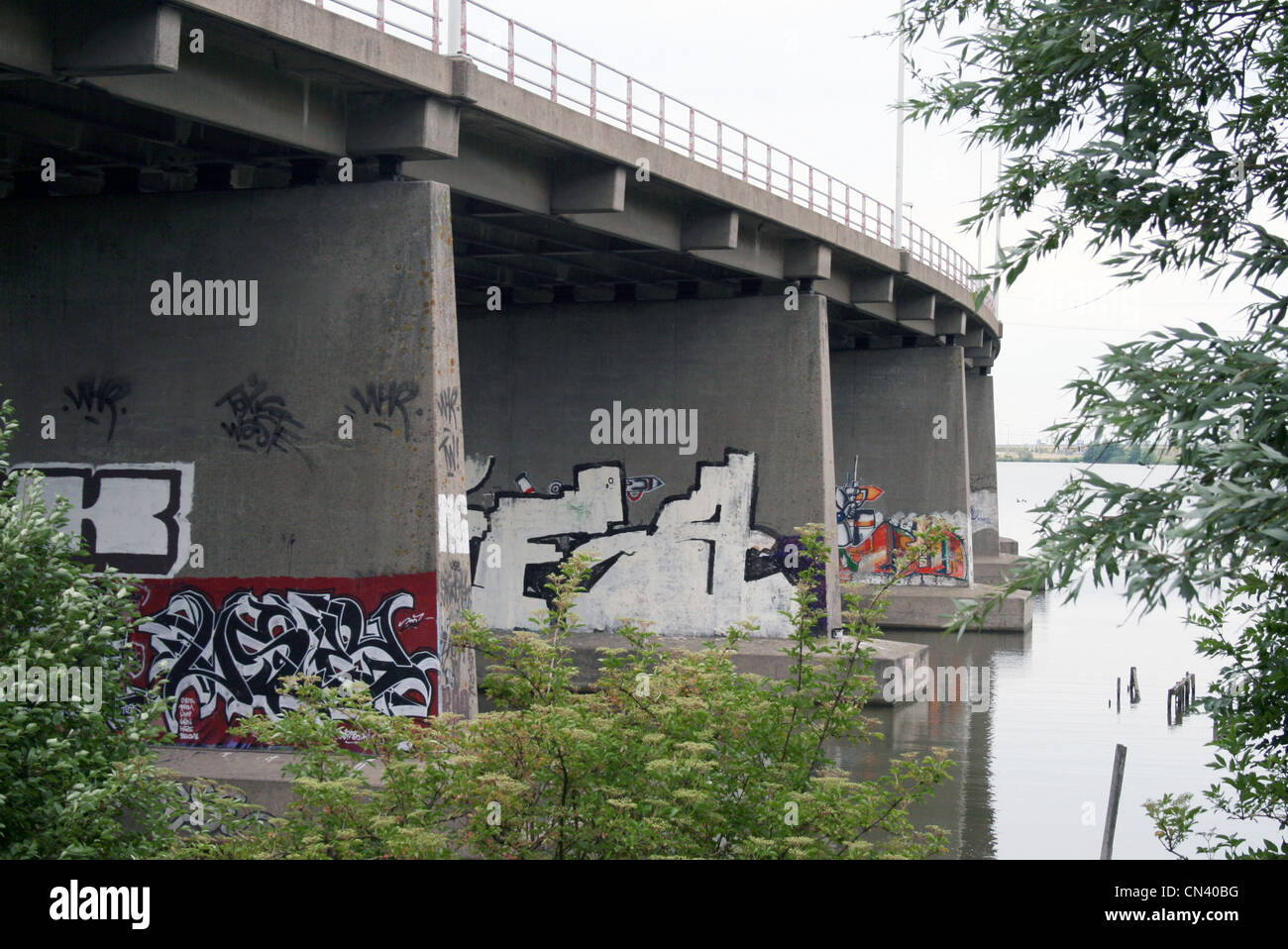 Sous Graffiti road bridge avec des arbres et un ciel gris blanc vierge....laid ! Banque D'Images