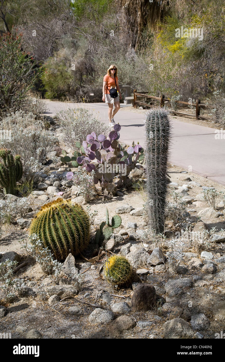 Un visiteur promenades les jardins à l'Zoo Living Desert à Palm Springs, Californie Banque D'Images