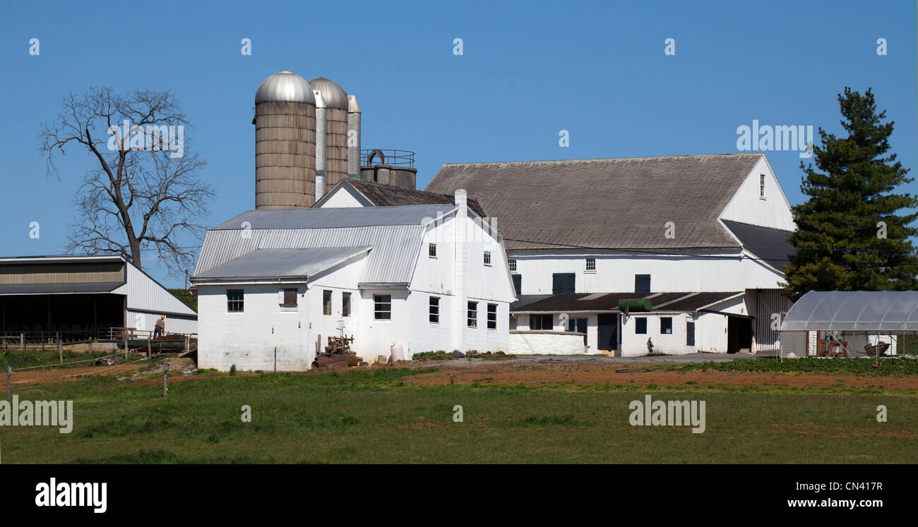 Mennonite Amish farm dans le comté de Lancaster en Pennsylvanie aux États-Unis. Banque D'Images