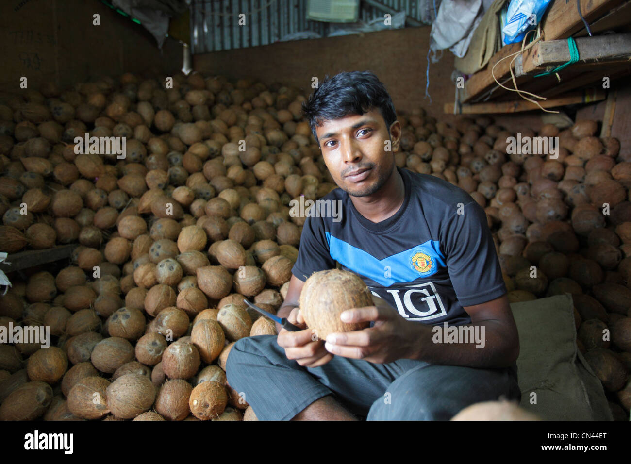 Coco au fruit market, homme, Maldives Banque D'Images