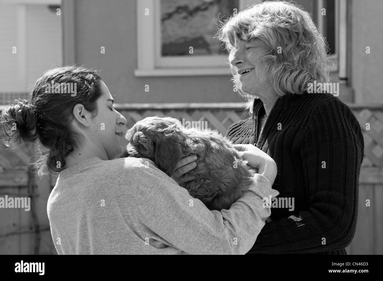 Un golden-doodle chiot est tenu par deux femmes. Banque D'Images