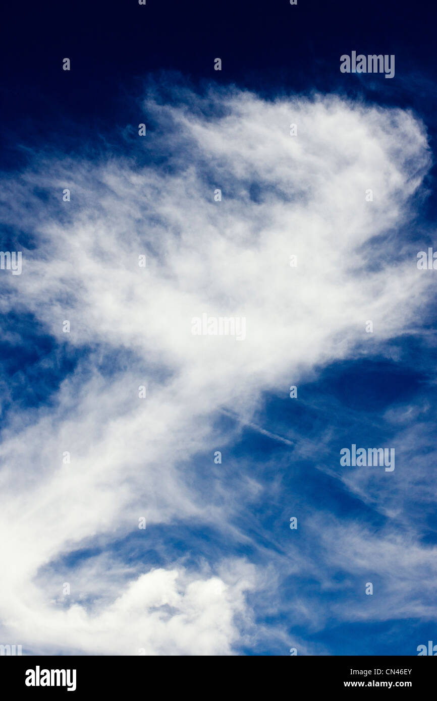 Les cirrus blanc contre un ciel bleu cobalt Colorado Banque D'Images