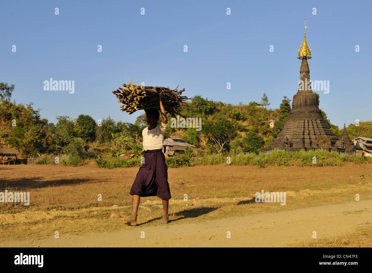 Myanmar (Birmanie), l'État de Rakhine (Arakan), Mrauk U, une jeune femme de l'ethnie rakhine ou Arakanais transportant du bois sur la tête. Banque D'Images
