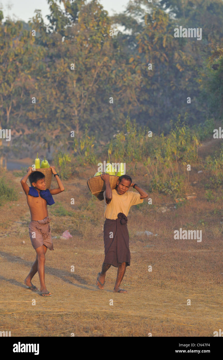 Myanmar (Birmanie), l'État de Rakhine (Arakan), Mrauk U, les hommes de l'ethnie rakhine ou Arakanais portant des paniers avec Remplissage des gourdes Banque D'Images