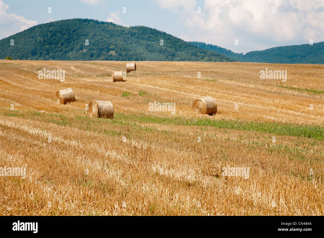 Botte de paille dans le paysage Banque D'Images