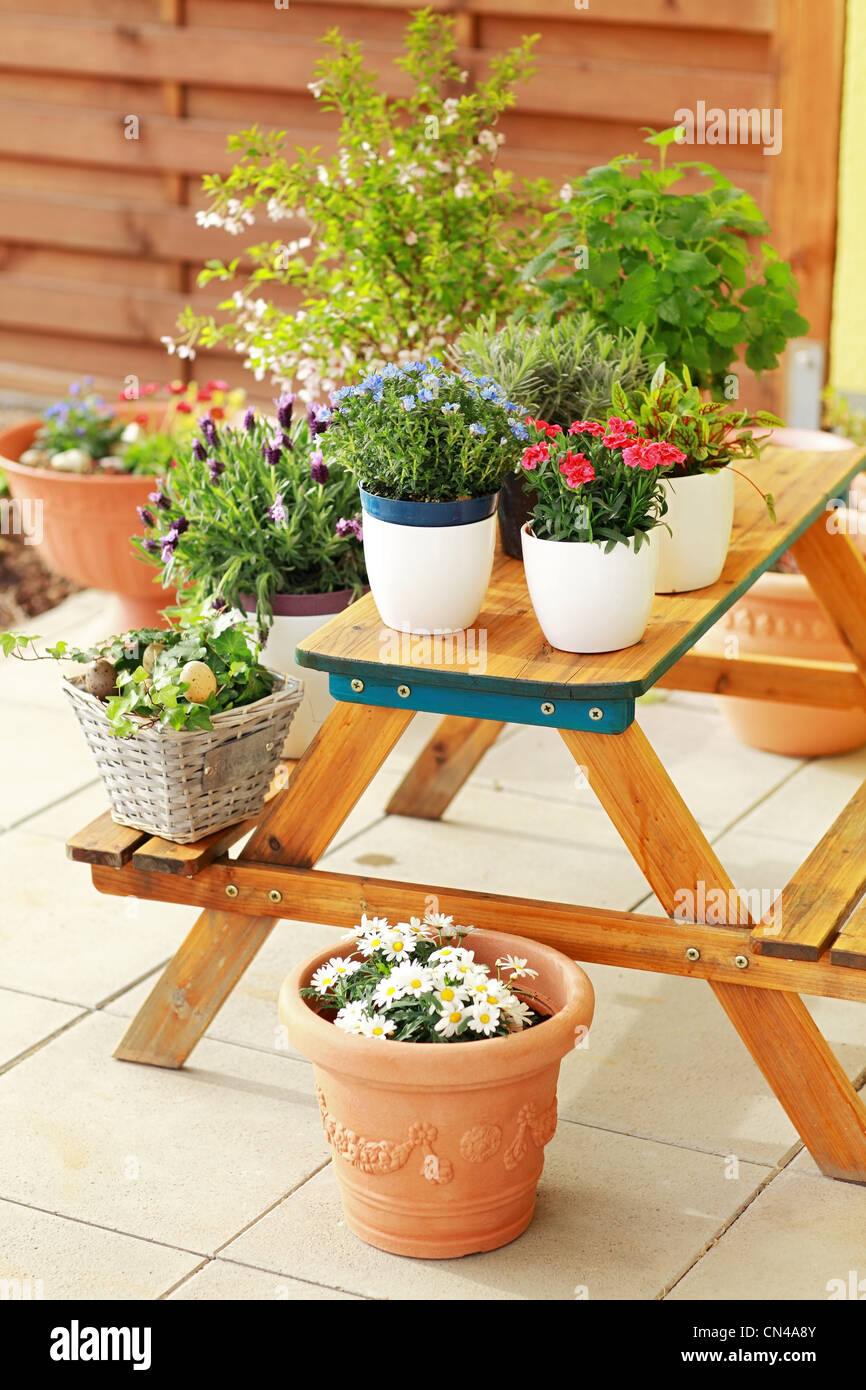 Pots de fleurs en plein air pour petit jardin, patio ou terrasse Photo  Stock - Alamy
