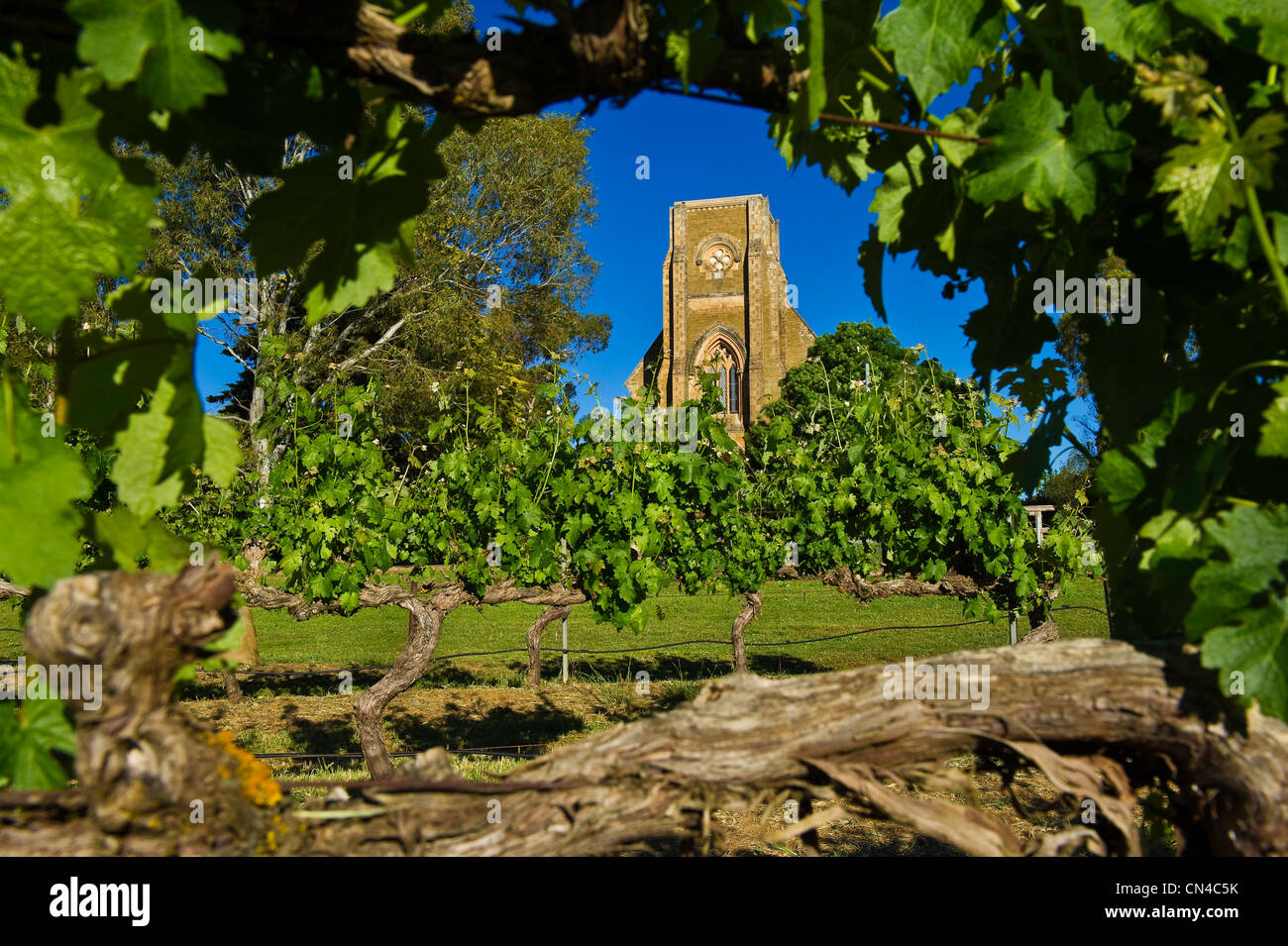 L'Australie, l'Australie, la Clare valley, sept collines cave, la plus ancienne cave dans la vallée Banque D'Images