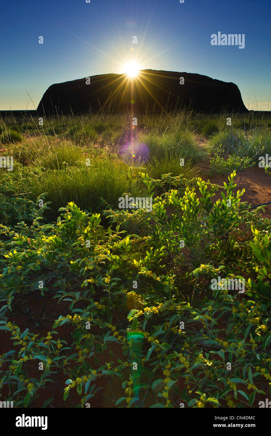 L'Australie, Territoire du Nord, le Parc National d'Uluru-Kata Tjuta classé au Patrimoine Mondial de l'UNESCO, l'Ayers Rock ou Uluru , Banque D'Images