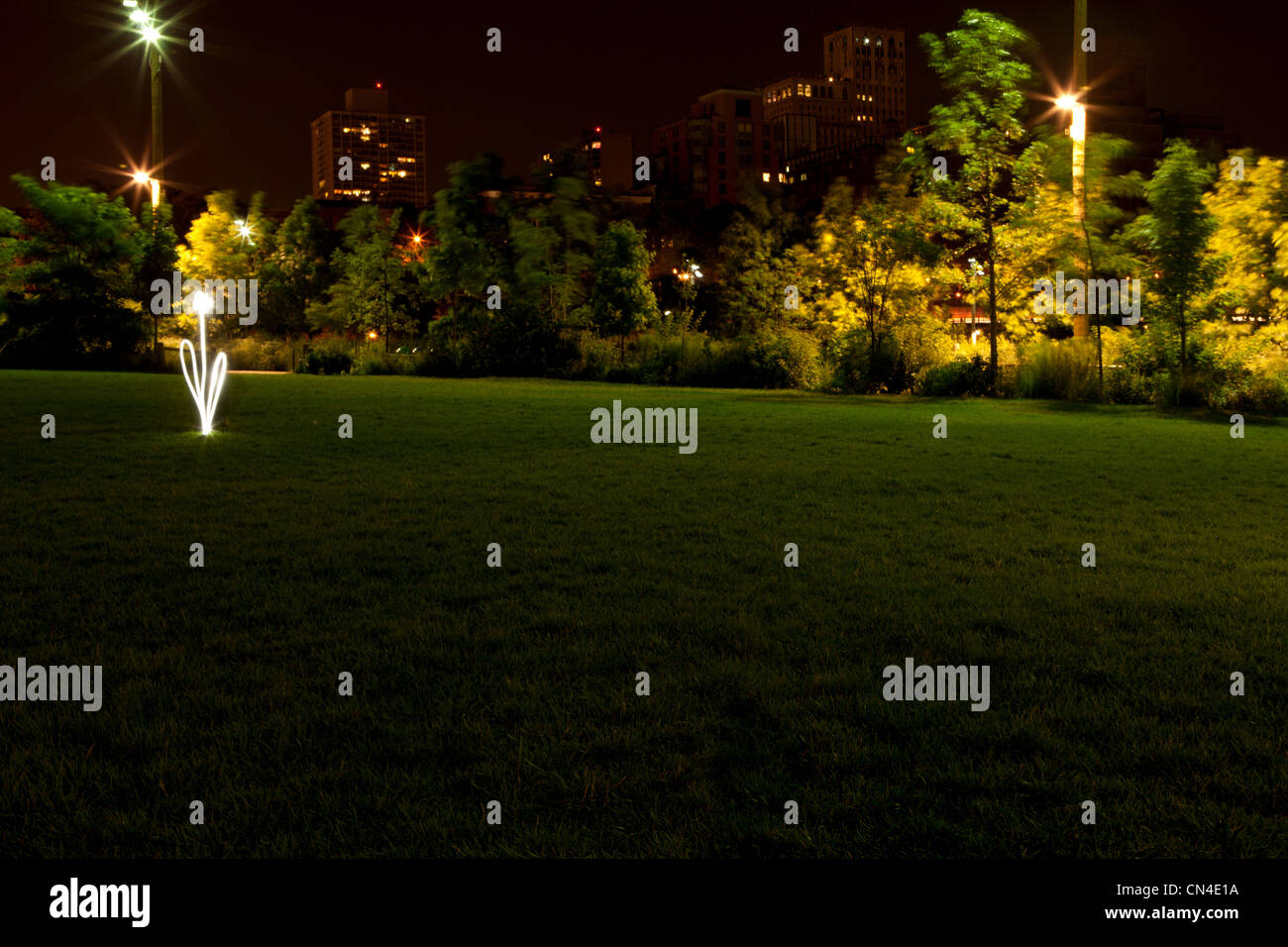 Dessiné par fleur light trail en parc de nuit Banque D'Images