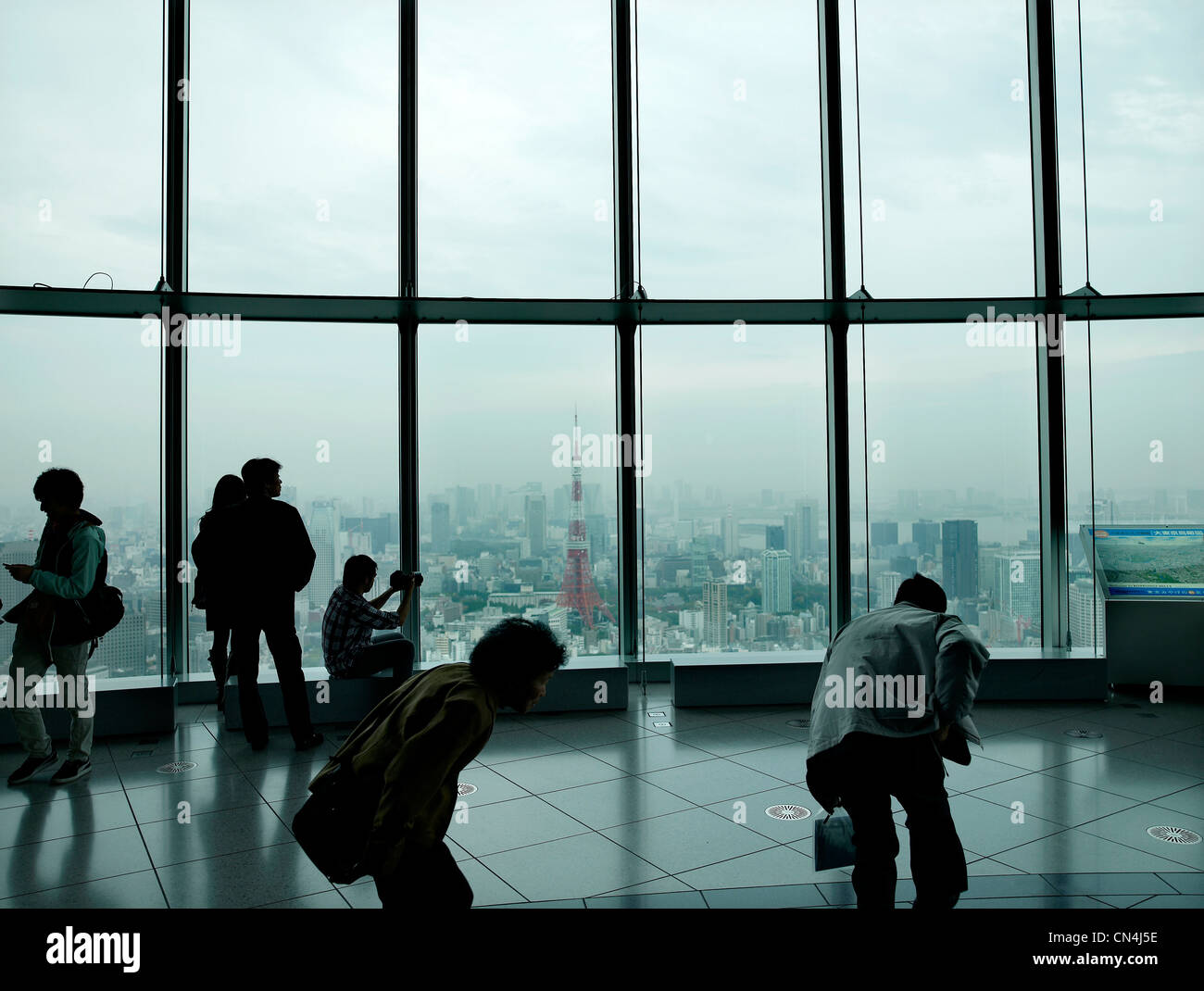 Japon, Tokyo, caractéristique : le Palais de Tokyo, vue sur la ville d'une tour Banque D'Images