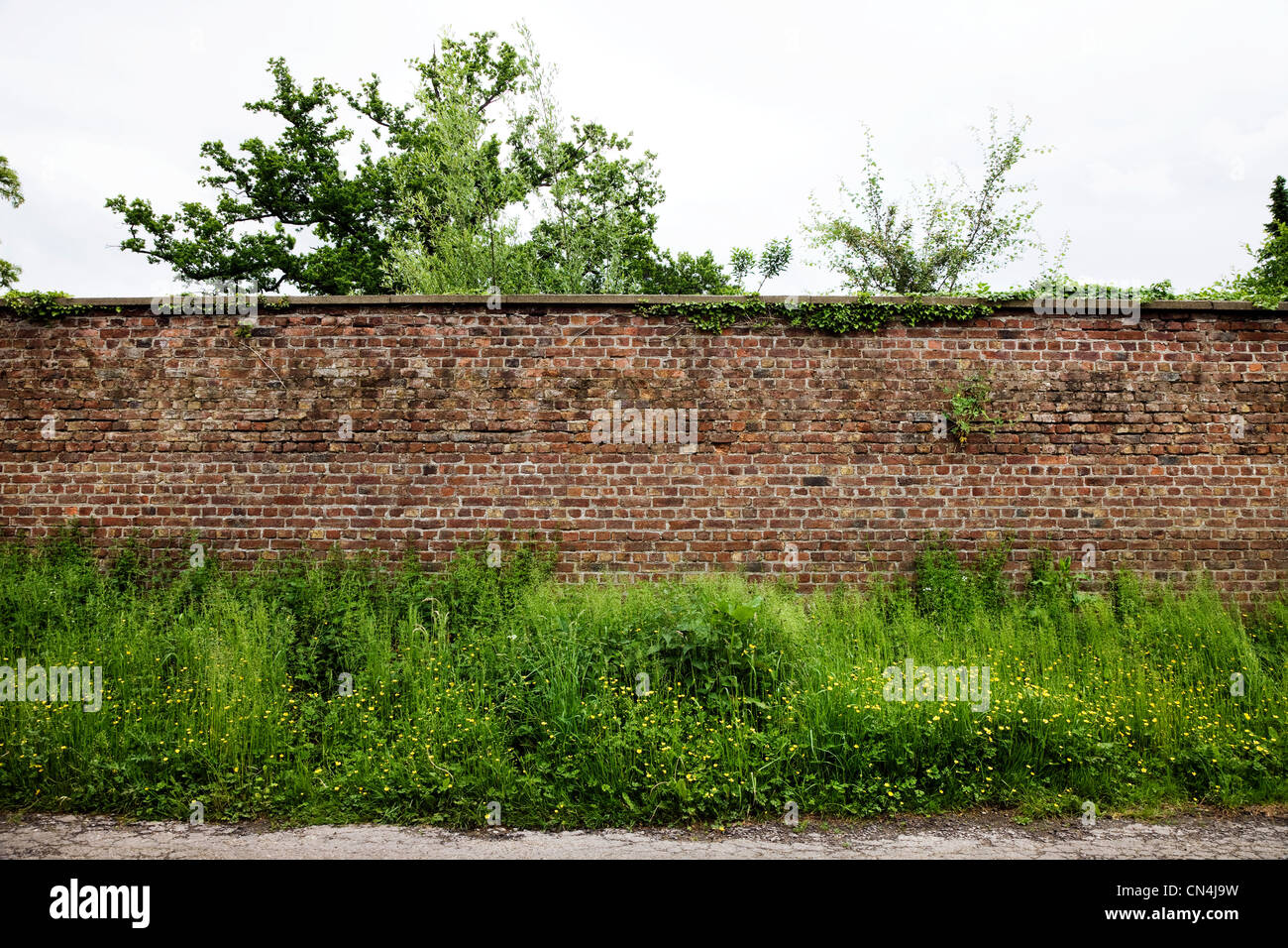 Mur de brique et de plantes Banque D'Images