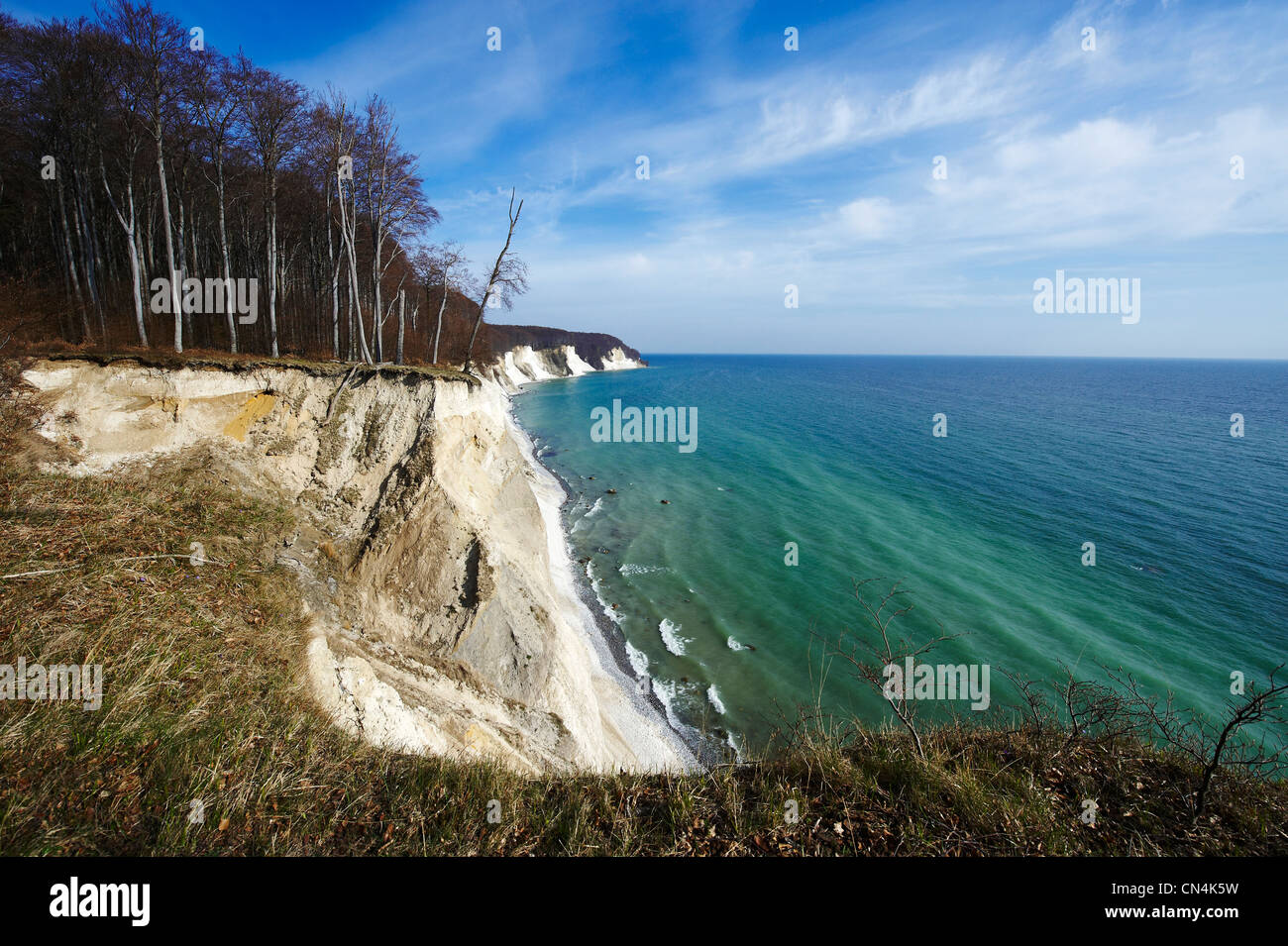 Germany, Mecklenburg-Western Pomerania, Ruegen island, Parc National de Jasmund, inscrite au Patrimoine Mondial de l'UNESCO, du blanc Banque D'Images