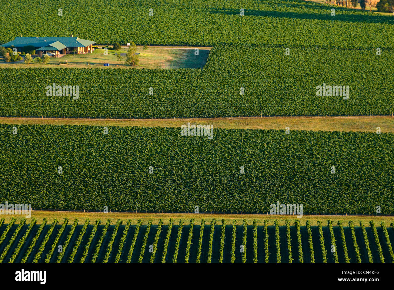 L'Australie, Victoria, région viticole de la Yarra Valley au nord-est de Melbourne, le paysage vu de l'air chaud ballon Banque D'Images