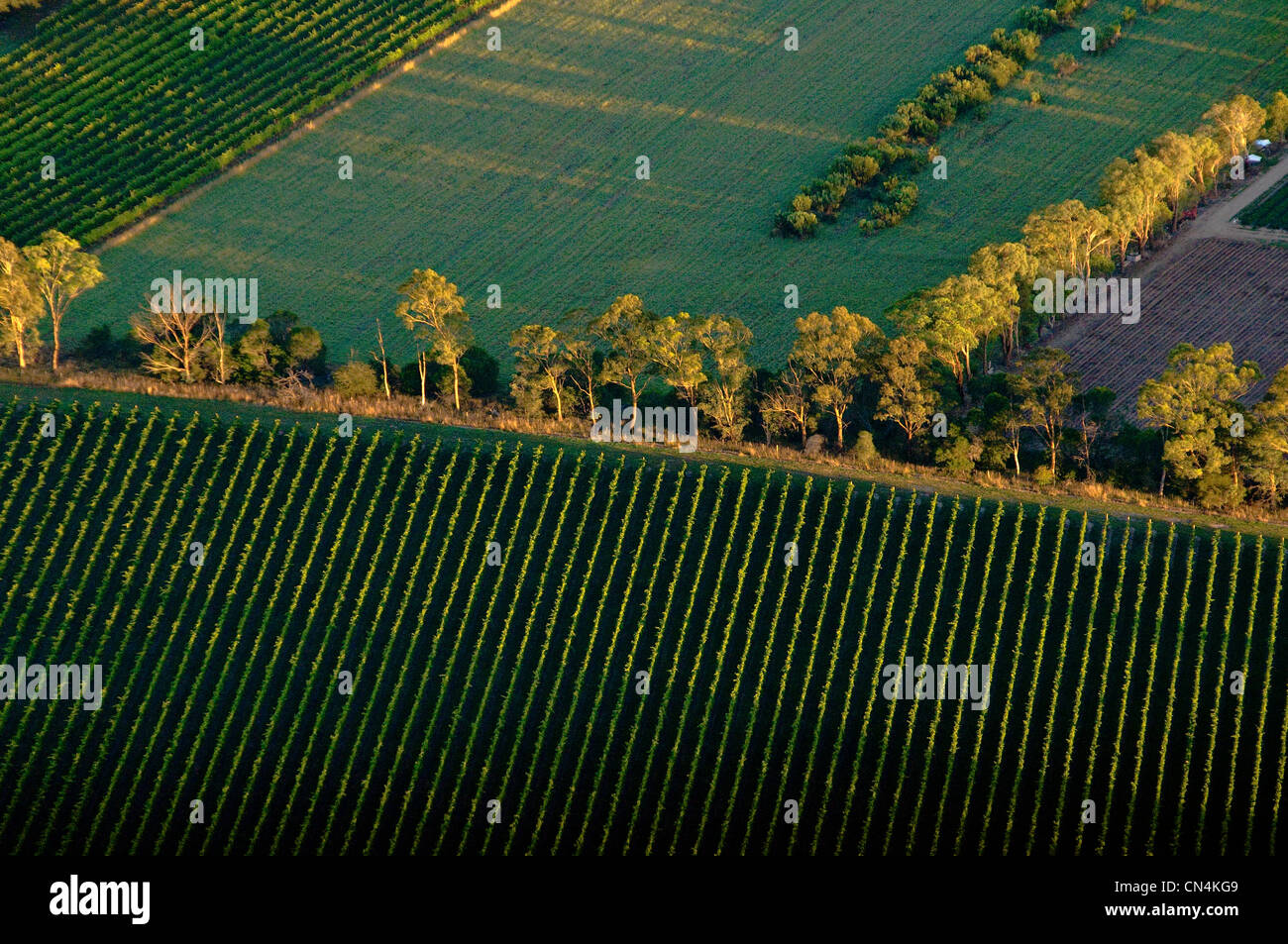 L'Australie, Victoria, région viticole de la Yarra Valley au nord-est de Melbourne, le paysage vu de l'air chaud ballon Banque D'Images