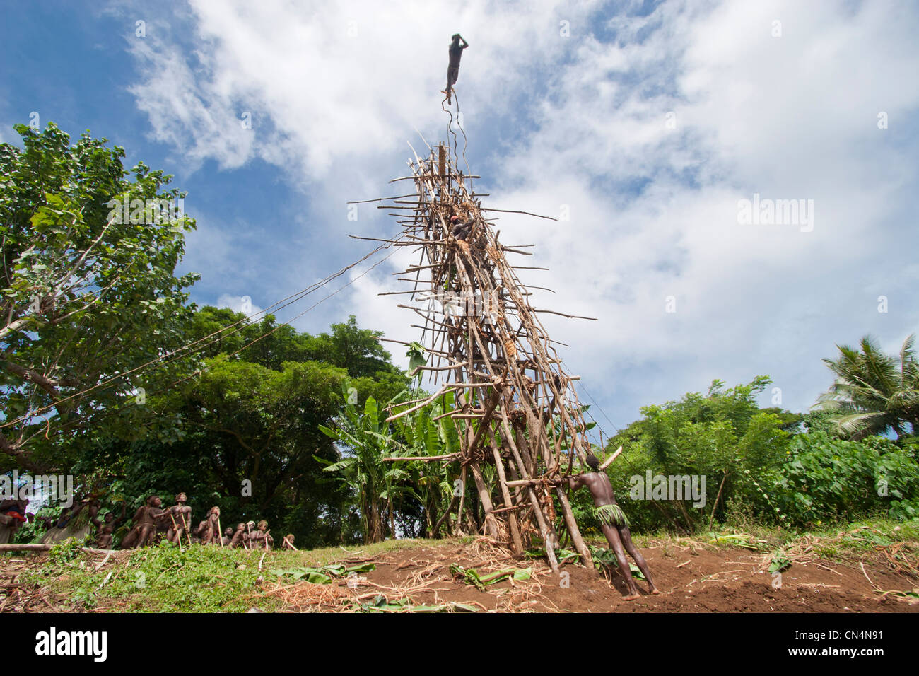 Vanuatu, Penama Province, l'île de Pentecôte, Lonorore, Naghol, traditionnels, plongée, rite de passage de l'enfance à Banque D'Images