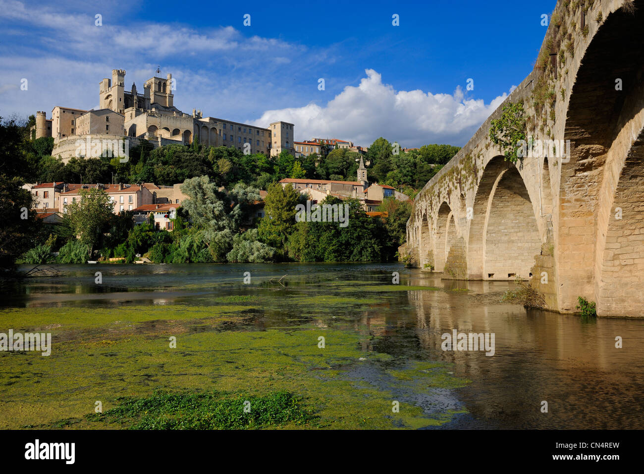 La France, l'Hérault, Béziers, la cathédrale St Nazaire et le Pont Vieux sur le fleuve Orb Banque D'Images