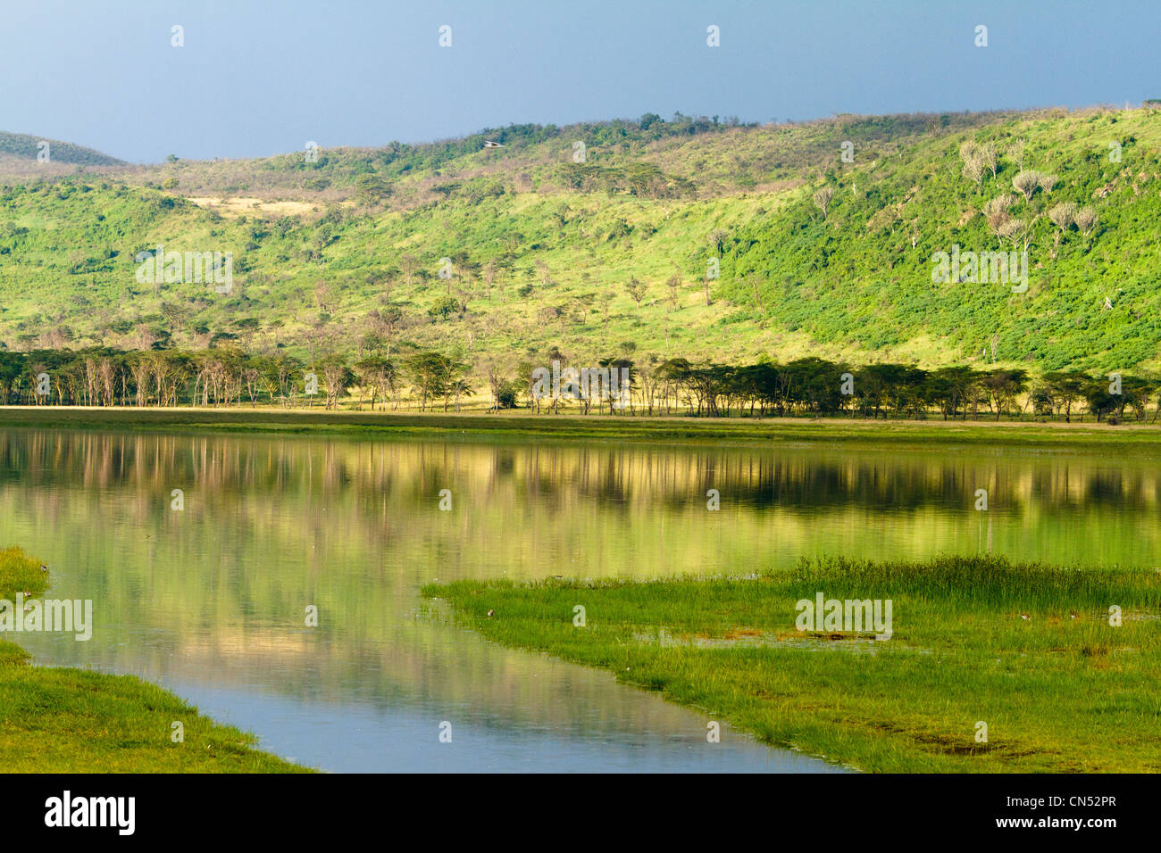 Au Kenya, la Grande Vallée du Rift, Parc National de Nakuru de lac, le lac Nakuru, saison des pluies Banque D'Images