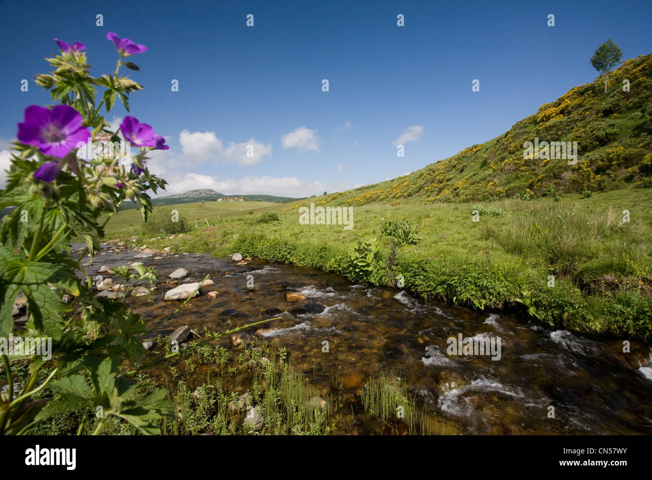 La France, l'Ardèche, les sucs (anciens volcans), Monts d'Ardèche Parc Naturel Régional, Sainte Eulalie, Loire près de sa Banque D'Images