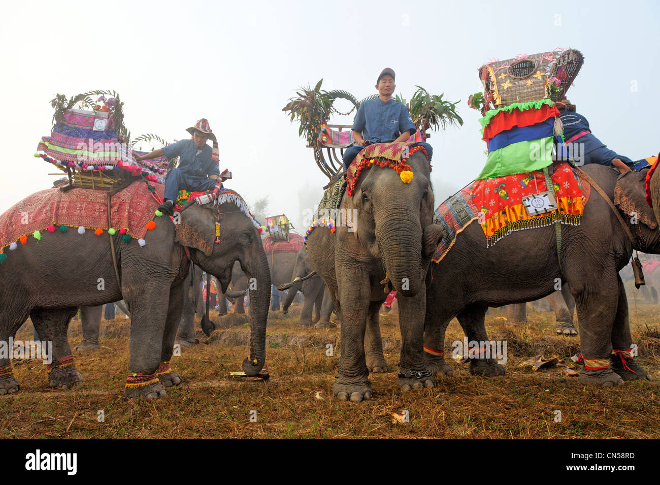 Laos, Sainyabuli Province, Hongsa, Festival de l'éléphant, l'éléphant et préparation en tenue de cérémonie mahouts pour la procession Banque D'Images