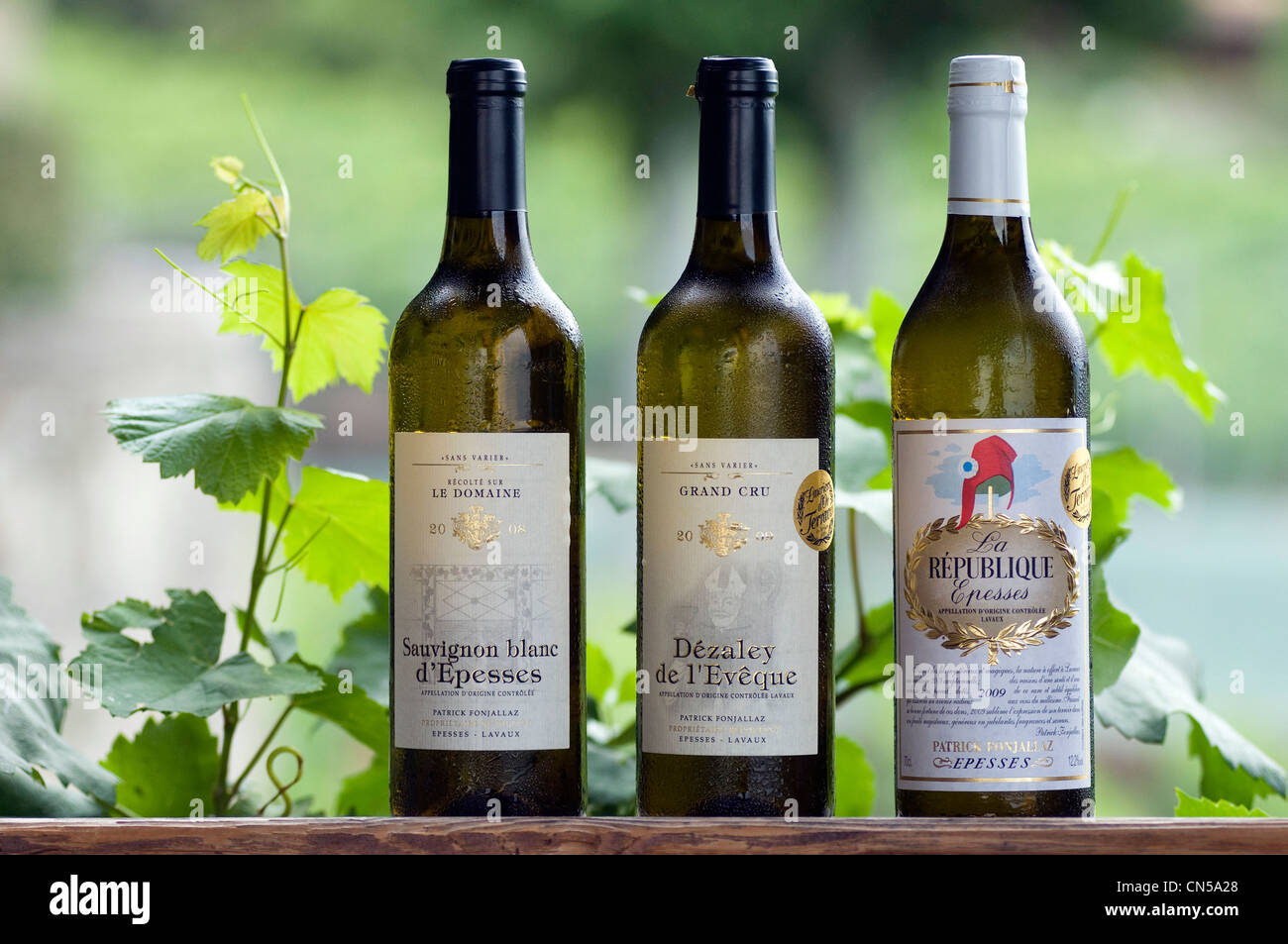 La Suisse, Canton de Vaud, Epesses, trois vins du vignoble en terrasses des Lavaux Patrimoine Mondial de l'UNESCO Banque D'Images