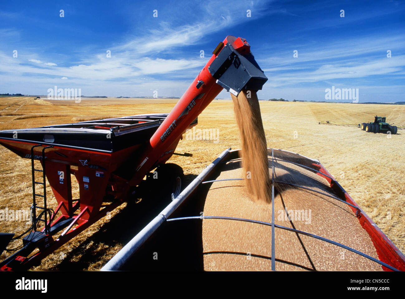 Chargement de wagons de grain camion agricole, Tiger Hills, au Manitoba Banque D'Images