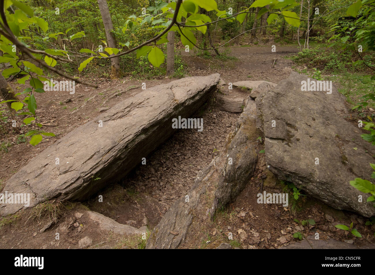 France, Morbihan, Broceliande Forêt, Campeneac, la Tombe des géants de l'âge du Bronze. Banque D'Images